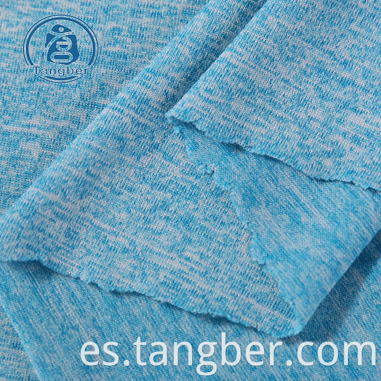 Dty polyester Jersey Fabric